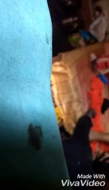चूत चटवाने के बाद लड़की के चुदाई नखरे देहाती चुदाई हिंदी बीएफ — screenshot 10
