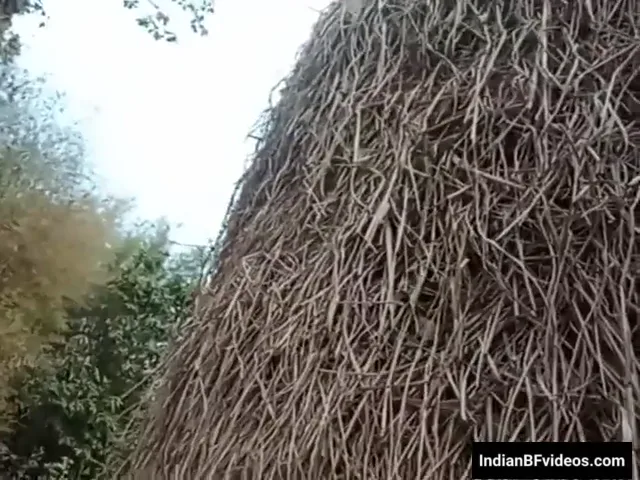 खेत में जाकर गोरी झांटो वाली चूत में उंगली डालकर मस्ती करने का देसी वीडियो