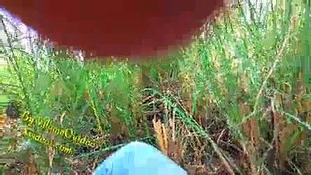 पति के लंबे लंड पर बैठकर जंगल में चूत चुदाई देसी सेक्स वीडियो — screenshot 7