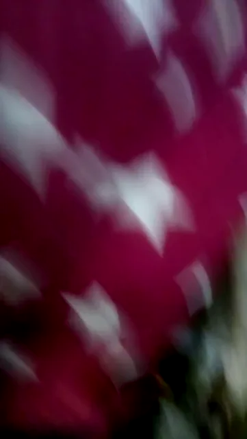 देहाती गांव की लड़की की चूत फकिंग देसी सेक्स वीडियो — screenshot 1