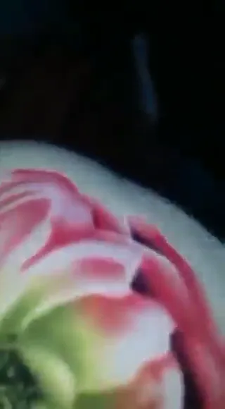 पाकिस्तानी बीवी की चूत का क्लोजअप चुदाई पाकिस्तानी बीएफ सेक्स वीडियो — screenshot 5