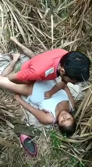 खेत में लफंगे लड़कों को चोदने दे रही गांव की लड़की देसी चुदाई वीडियो — screenshot 3