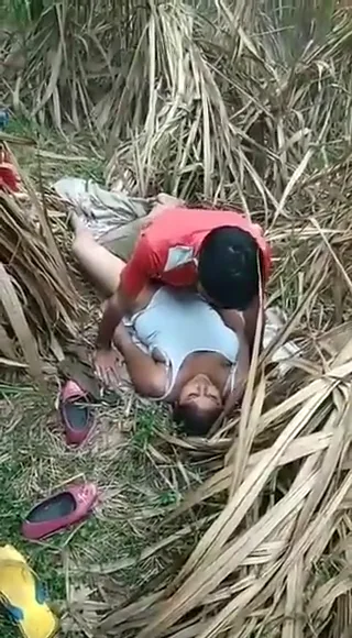खेत में लफंगे लड़कों को चोदने दे रही गांव की लड़की देसी चुदाई वीडियो — screenshot 5