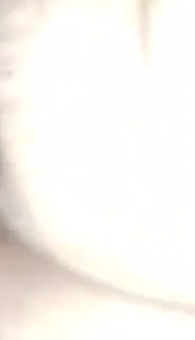 बांग्लादेशी कॉलेज लवर्स की देहाती चुदाई MMS ब्लू फिल्म हिंदी बीएफ देसी सेक्स — screenshot 1