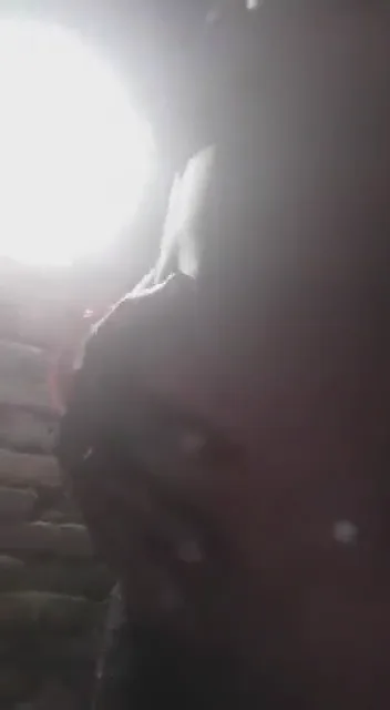 देहाती भाभी ने नंगे बदन दिखाया अपनी भोसड़ी वाली बुर वीडियो — screenshot 2