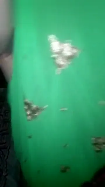 बड़े बॉल्स वाली भाभी सोनाली की साडी उतारकर देहाती चुदाई हिंदी एमएमएस — screenshot 1
