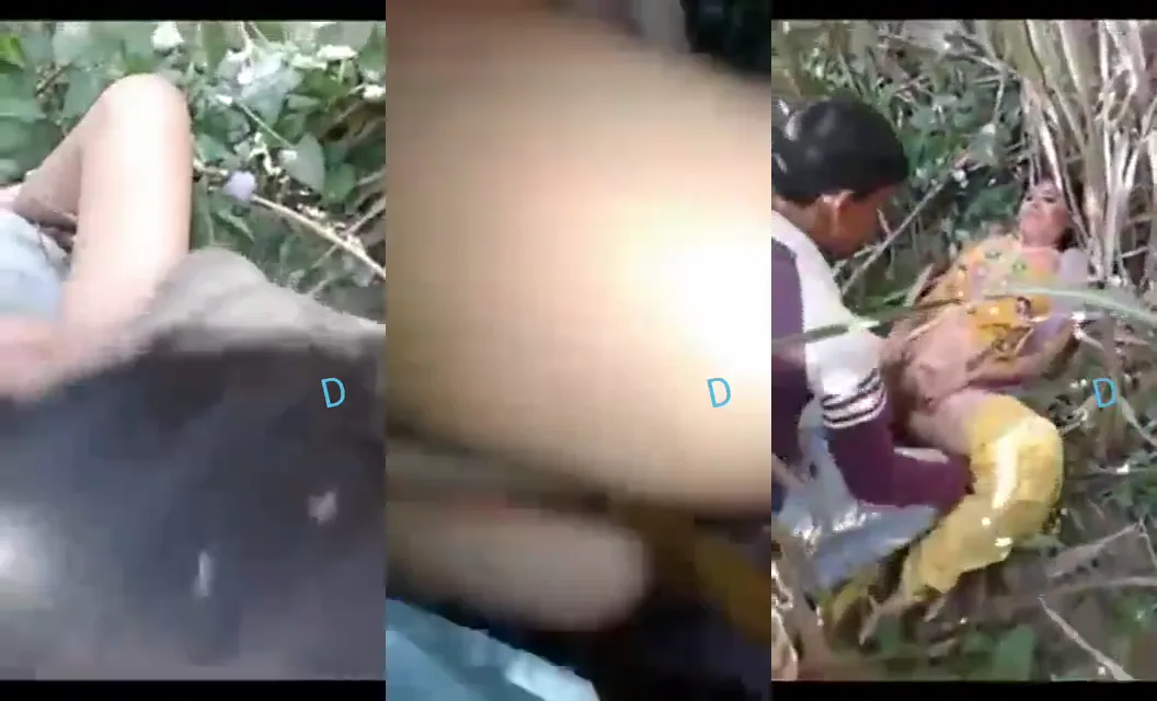 लफंगों ने रंडी को जंगल झाड़ियों में लाकर देसी चोदा हिंदी बीएफ वीडियो