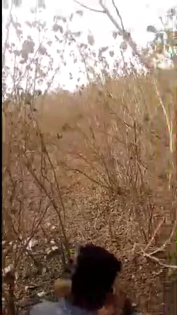 पांच देसी रंडियों की जोरदार चूत चुदाई कंपाइलेशन हिंदी बीएफ वीडियो — screenshot 3