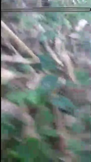 पांच देसी रंडियों की जोरदार चूत चुदाई कंपाइलेशन हिंदी बीएफ वीडियो — screenshot 9