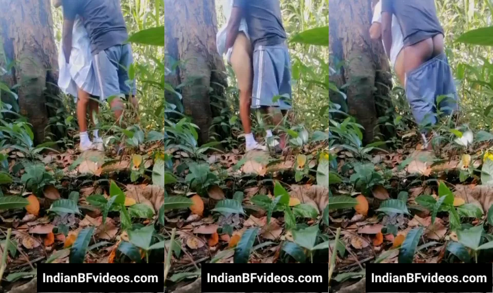 कॉलेज गर्लफ्रेंड को जंगल में लेकर खड़े खड़े चुदाई की देसी बीएफ MMS हिंदी वीडियो