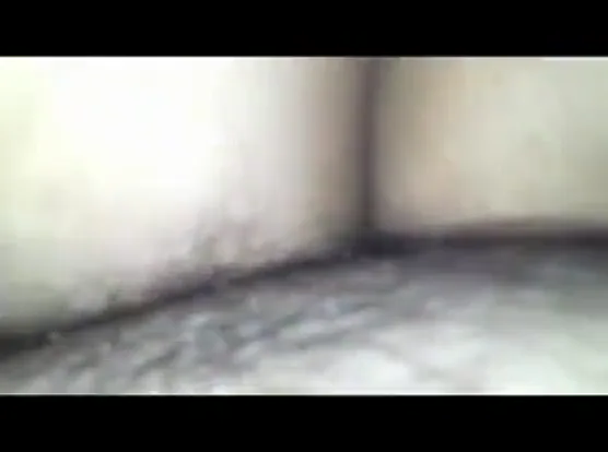 मूठ मारते वक्त आंटी ने लंड मुंह में लेकर चूसा देसी बीएफ वीडियो — screenshot 7