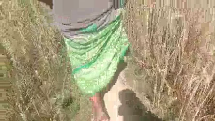 गाँव की देहाती भाभी की खेत में जोरदार चोदा चोदी हिंदी बीएफ — screenshot 4