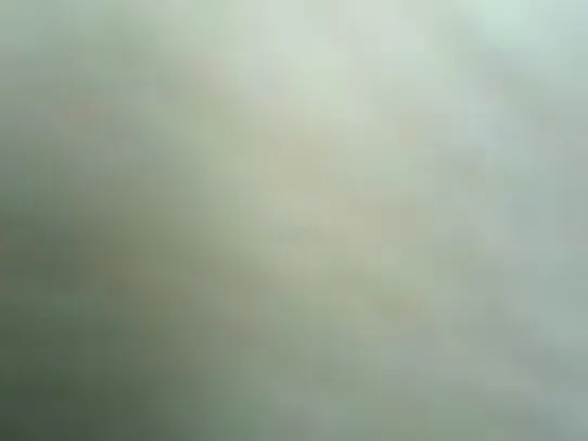 मल्लू गर्ल के साथ जंगल में खुली हवा में देसी सेक्स वीडियो — screenshot 4