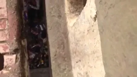 पति पत्नी खुले मैदान में सेक्स करते पकड़े गए देसी MMS वीडियो — screenshot 2