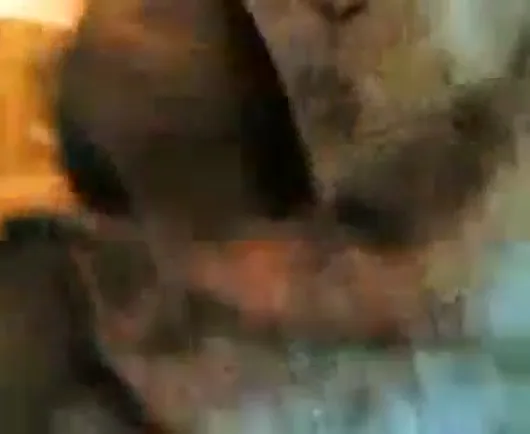 गुजरात की लड़की बॉयफ्रेंड से नंगी चुदाई कराती देसी वीडियो — screenshot 1