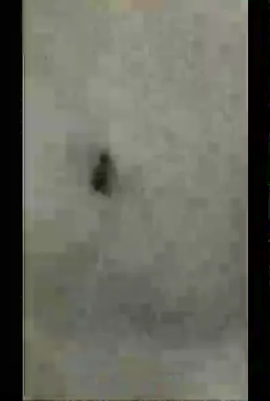 चार देसी गर्ल्स का जंगल में नंगी चुदाई और सेक्स पार्टी का ब्लू फिल्म वीडियो — screenshot 8