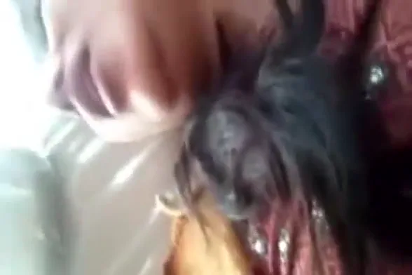 हनीमून कपल की कार में देसी चुदाई करते हुए MMS हिंदी बीएफ वीडियो — screenshot 1