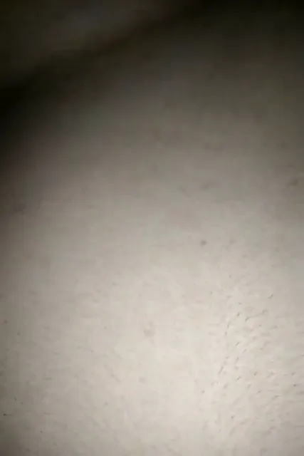 इस मल्लू बीवी का आज जोरदार चुदाई का बड़ा मूड है देसी सेक्स वीडियो — screenshot 4
