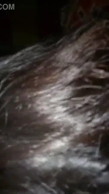 चुदक्कड बिहारी भौजी ने लंड का कोका कोला किया फिर चूत चुदवाई — screenshot 7