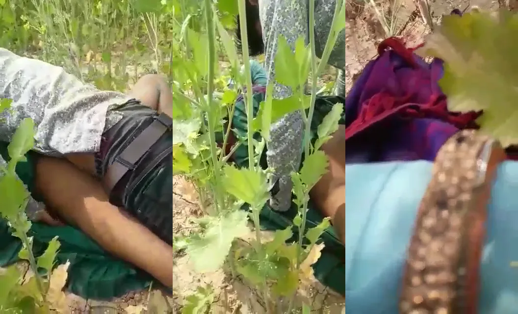 देहाती राजस्थानी औरत की खेत में गांव वाले के साथ जोरदार चुदाई गांड चूत वाली ब्लू फिल्म