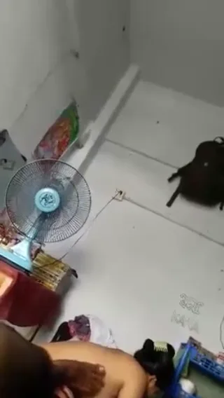बंगलादेशी भाभी ने जवान लड़के का लंड चूसकर देसी सेक्स किया बीएफ वीडियो — screenshot 5