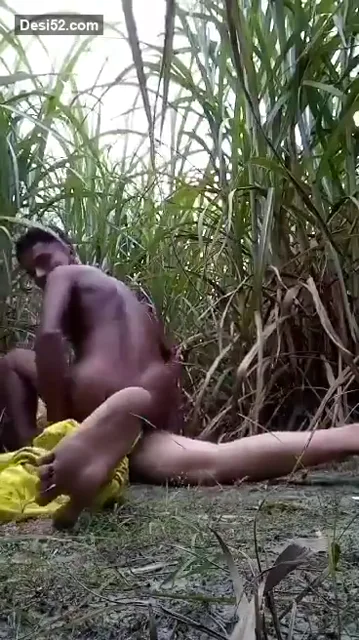 गन्ने के खेत में लड़के ने अपनी प्रेमिका को जमकर चोदा देहाती चूत चुदाई वीडियो — screenshot 1