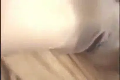 पैसे के लिए मोटे अंकल का लंड लिया लड़की ने हिंदी चुदाई — screenshot 9