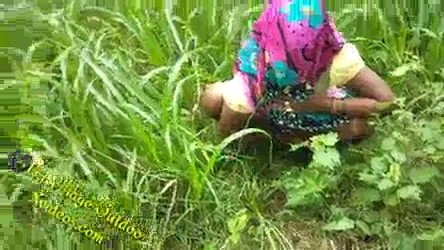 पोदीने की खेती में साली संग जीजा की देहाती चुदाई वीडियो — screenshot 3