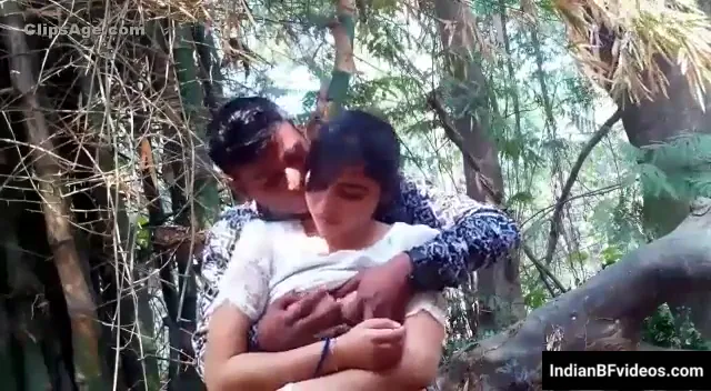 ब्यूटीफुल गर्लफ्रेंड के साथ पार्क में अश्लील चुदाई की देसी MMS वीडियो
