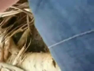 कॉलेज की सेक्सी लड़की ने पार्क में बीएफ के साथ चोदाई का मजा लिया एमएमएस वीडियो — screenshot 9