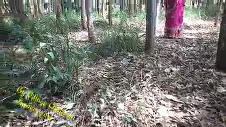 जंगल में देहाती भाभी की खुली चुदाई गांव की देसी सेक्स हिंदी बीएफ वीडियो — screenshot 7