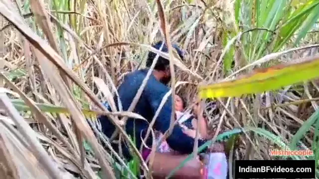 गन्ने के खेत में साड़ी वाली देहाती औरत की बुर चोदने वाला गांव बीएफ वीडियो — screenshot 3