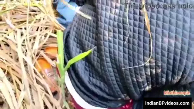 गन्ने के खेत में साड़ी वाली देहाती औरत की बुर चोदने वाला गांव बीएफ वीडियो — screenshot 4