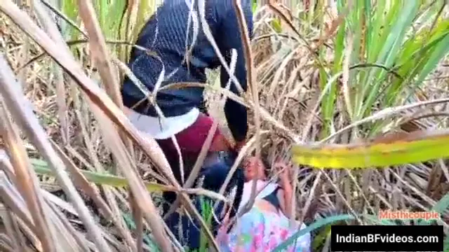 गन्ने के खेत में साड़ी वाली देहाती औरत की बुर चोदने वाला गांव बीएफ वीडियो