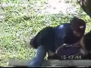 पार्क में योग करती भाभी को लड़के ने पकड़कर जोर से चोदा हिंदी बीएफ वीडियो — screenshot 10