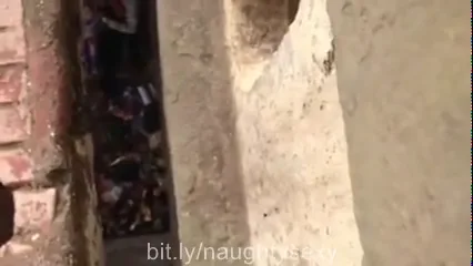 बिहारी भाभी की अंडरब्रिज में चुदाई वीडियो — screenshot 2