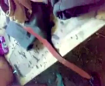 दिहाड़ी सेक्सी भाभी ट्रक में चूत चुदवाती देसी MMS वीडियो — screenshot 5