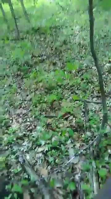 जंगल में घोड़े जैसे लंबे लौड़े से लड़की की जबरदस्त चुदाई वीडियो — screenshot 5