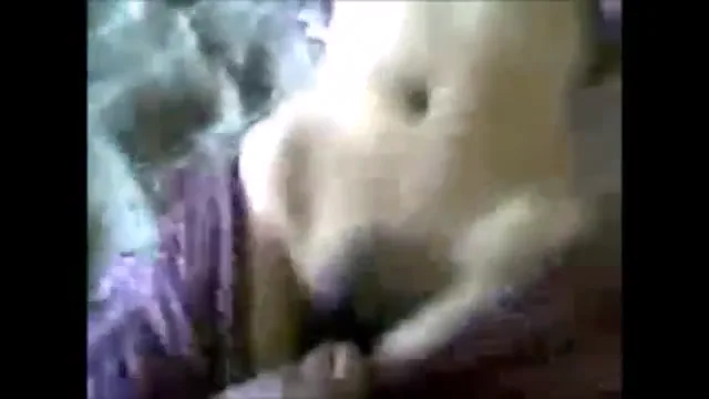 अंडर कंस्ट्रक्शन जगह पर गर्लफ्रेंड के बूब्स दबाकर चूत चूसा — screenshot 9