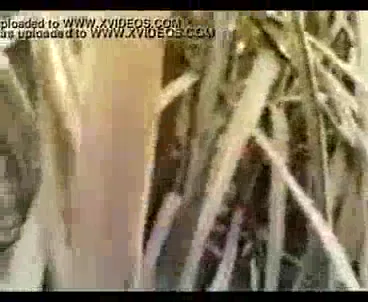 खुले गन्ने के खेत में वंदना भाभी की चूत चोदने की देसी गांव चुदाई वीडियो — screenshot 6
