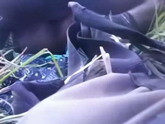 भाभी की चिकनी चूत को खेत में देवर ने चोदा देसी चुदाई वीडियो — screenshot 10