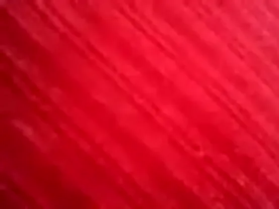 उड़ीसा की भाभी को पति ने मुंबई में चूत भरकर जोरदार चोदा देसी वीडियो — screenshot 4