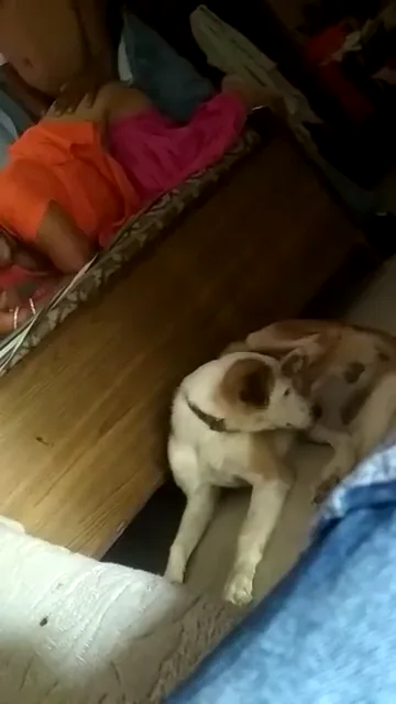 बेटे के सामने देसी माँ की बुर चोदकर चुदाई करते हुए गांव की बीएफ वीडियो — screenshot 7