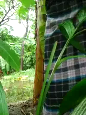 केले के खेत में आंटी ने केला लेकर चूत चुदाई मल्लू बीएफ वीडियो — screenshot 1