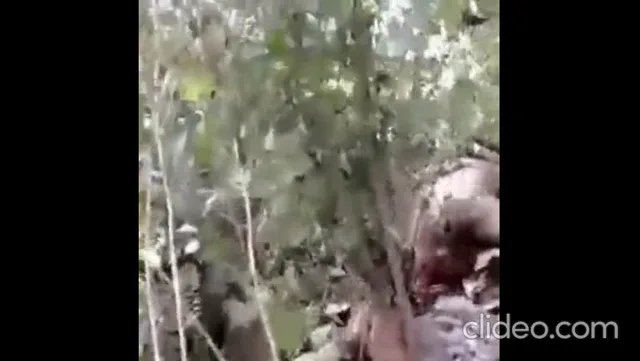पांच इंडियन लवर्स की आउटडोर देहाती चुदाई कंपाइलेशन ब्लू फिल्म — screenshot 3