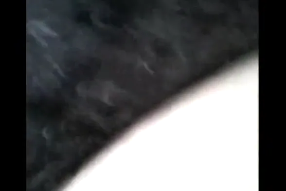 बंगाली बेब के सुंदर बड़े बूब्स दबाकर चुदाई बंगाली बीएफ वीडियो — screenshot 1
