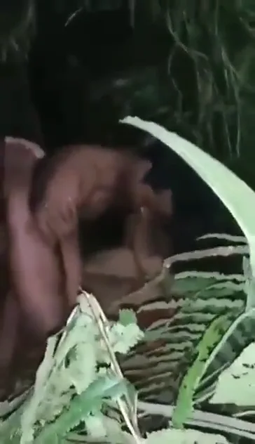 आसाम जंगल में लफंगों ने देहाती लौंडी की चूत चोदी जंगली देसी सेक्स वीडियो — screenshot 5