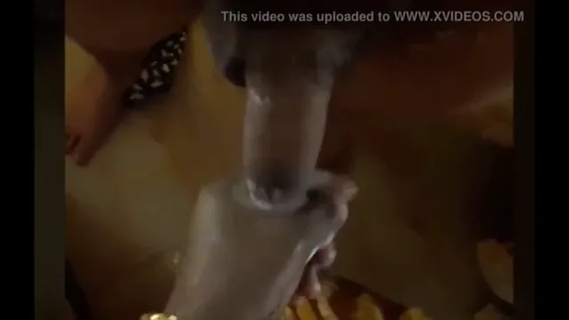 मद्रासी कामवाली आंटी ने बॉस के लंड को हिलाया और चूसा सेक्स वीडियो — screenshot 5