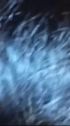 पंजाबी कपल की फुल नंगी चुदाई की देसी बीएफ सेक्स वीडियो — screenshot 7