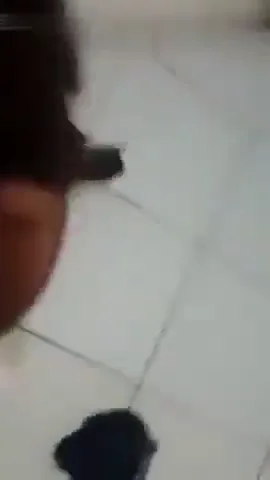 थ्रीसम सेक्स में काले लोड़े का गुलाबी टोपा चुसती इंडियन लड़की देसी बीएफ — screenshot 3